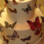 Butterfly Cake